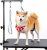 Breeze Touch Dog Grooming Arm – 35″ Dog Grooming Table Arm with Clamp and Post, Loop Noose, No Sit Haunch Holder Grooming Restraint for Small & Medium Dogs