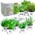 Deluxe Herb Garden Kit – 8 Variety Herbs for Indoor & Outdoor – Get Growing with Pots, Potting Soil for Window Herb Garden. (8 set deluxe herb kit)