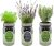 Hydroponic Herb Growing Kit Set, Self-Watering Mason Jar Herb Garden Starter Kit Indoor, Grow Your Own Herbs from Seeds (Dill, Lavender & Rosemary)